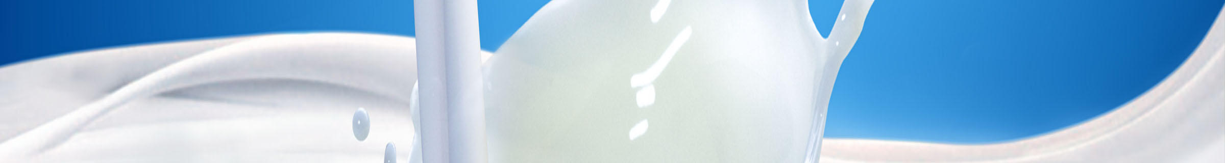 alimentari_banner alto