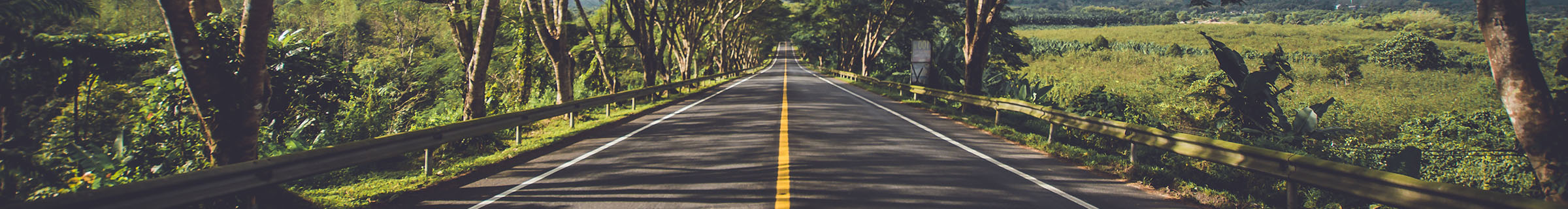 manut strad_banner alto