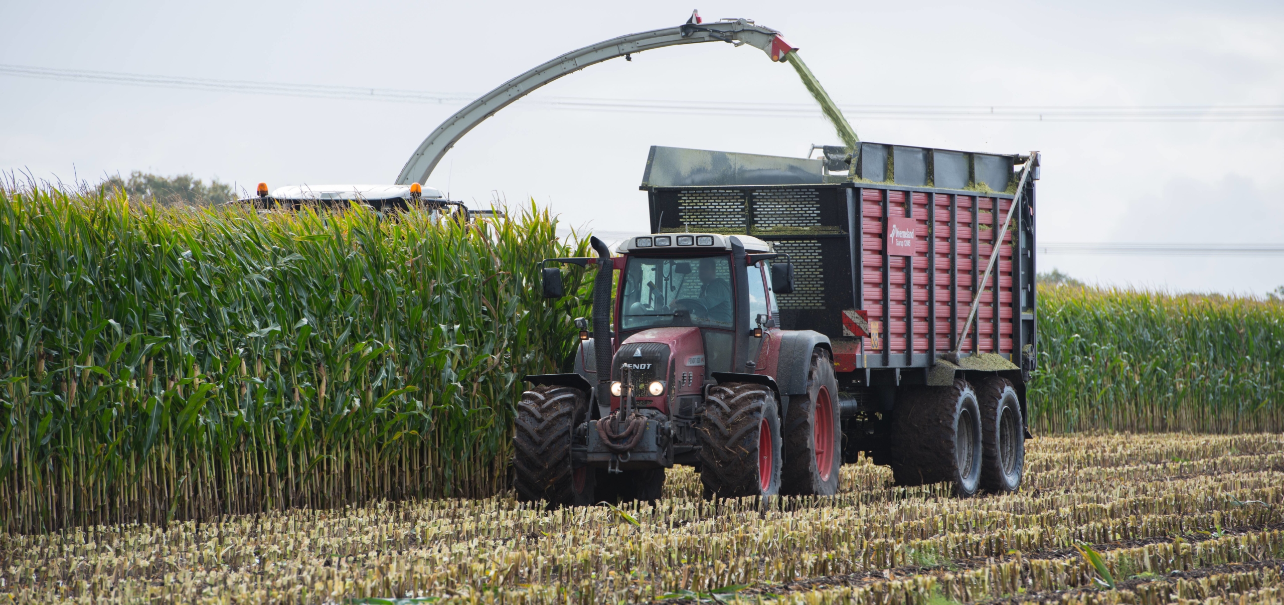 Feed trucks