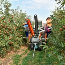 Fruit or cereal collection machinery