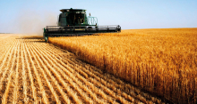 Nastri per agricoltura