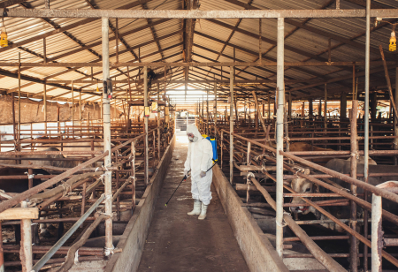 People,Wearing,Personal,Protective,Equipment,Or,Ppe,With,Spraying,Disinfectant