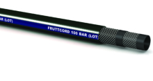 FRUTTCORD 100 BAR v5 2025