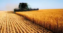 Nastri per agricoltura