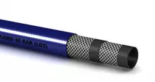 fruttcord-40_evidenza.jpg fruttcord-40_evidenza.jpg